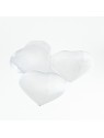 Cuore in Selenite