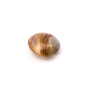 Ozeanjade poliert