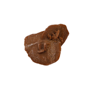 Wüstenrose